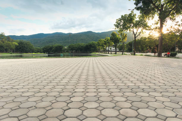 Best Residential Driveway Paver Services  in Mannington, WV